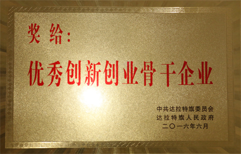 東達(dá)集團(tuán)榮獲“優(yōu)秀創(chuàng)新創(chuàng)業(yè)骨干企業(yè)”稱號